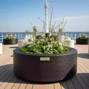 Аренда Кашпо для цветов Prosperplast Rato Round венге на теплоходе «Дагомыс» — ART SPACE