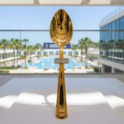 Аренда Ложка столовая золотая в Novotel Resort — ART SPACE