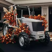 Аренда Фотозона трактор в Rodina Grand Hotel & SPA — ART SPACE