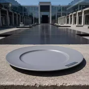 Аренда Тарелка подстановочная Tognana Vienna Charm серая 31 см на Медальной площади — ART SPACE
