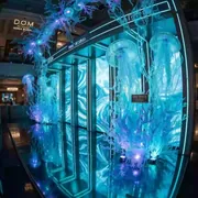 Аренда Фотозона подводный мир в ресторане «D.O.M» — ART SPACE