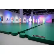 Аренда Бордюр для модульного покрытия Helex зеленый 2 шт в Radisson Blu Resort & Congress Centre — ART SPACE