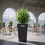 Аренда Кашпо Urbi Square 266 антрацит Prosperplast 11 л на арене «Фишт» — ART SPACE