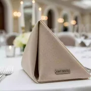 Аренда Салфетка шампань 45х45 см жаккард в Radisson Collection Paradise — ART SPACE