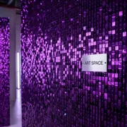Аренда Фотозона хамелеон из пайеток фиолетовая в Сириус Арене — ART SPACE