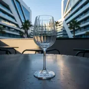 Аренда Бокал для вина Casablanca 235 мл в Сочи Парк Отеле — ART SPACE