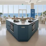 Аренда Кухни модульные в Swissôtel Resort Sochi Kamelia — ART SPACE
