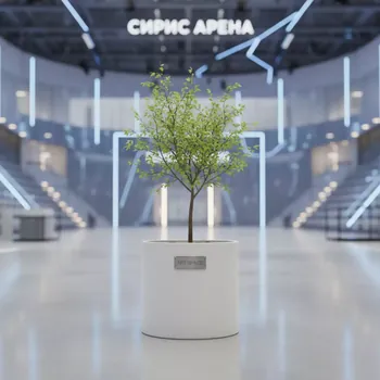 Аренда Кашпо для деревьев White 22 см в Сириус Арене — ART SPACE