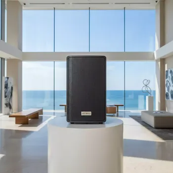 Аренда Колонки активные Behringer B 205D в отеле Hyatt Regency Sochi — ART SPACE