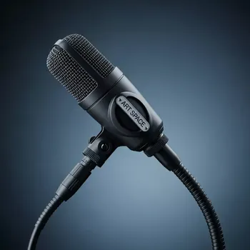 Аренда Микрофон для ударных Shure Beta 98AD C в санатории «Русь» — ART SPACE