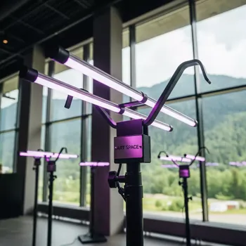 Аренда Фитолампы IP 20 в Radisson Hotel Rosa Khutor — ART SPACE
