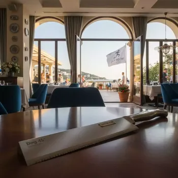 Аренда Нож Deg 45 универсальный угол 45 для плоттеров Pcut Mimaki Easycut DGI в ресторане «La Terrazza» — ART SPACE