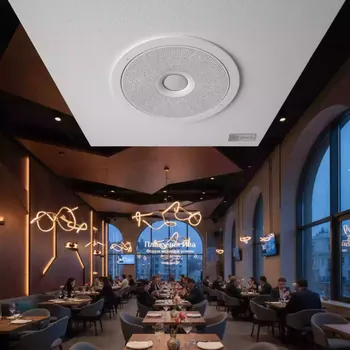 Аренда Акустическая система встраиваемая Tannoy iw 62TDC белая в ресторане «Плакучая Ива» — ART SPACE
