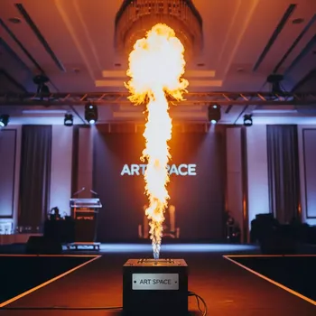 Аренда Активатор пламенем TIC FT 25A в банкетном зале «Дельфин» — ART SPACE