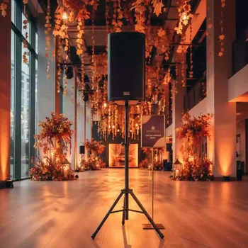 Аренда Активная акустическая система DAS Audio Action 12A в Imeretinskiy Hotel — ART SPACE