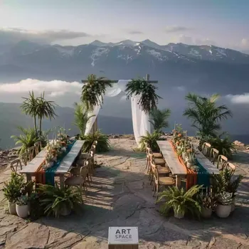 Аренда Растения комнатные на площадке Rosa Peak (2320м) — ART SPACE