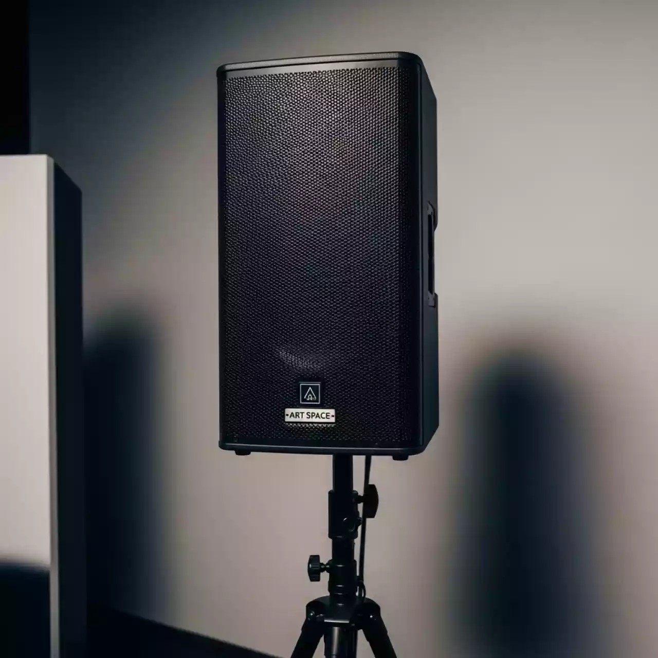 Аренда Акустическая система DAS Audio DR 115A в Omega Sirius — ART SPACE