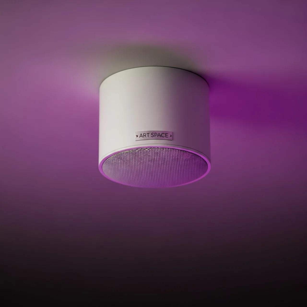 Аренда Акустическая система потолочная FDB C600T белый в Зале органной и камерной музыки — ART SPACE