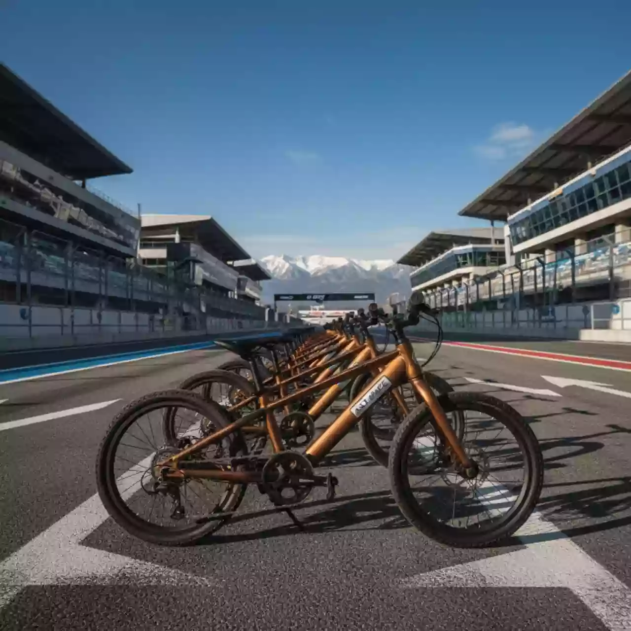 Аренда Беговелы на Сочи Автодроме — ART SPACE