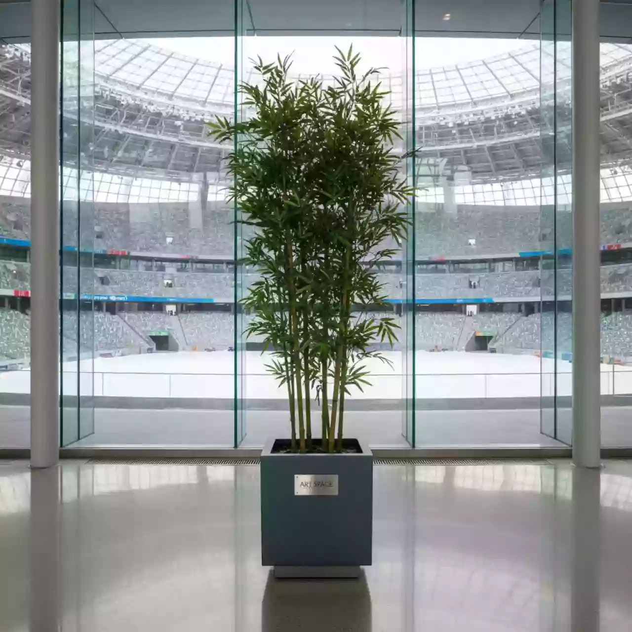 Аренда Дерево бамбук на арене «Фишт» — ART SPACE