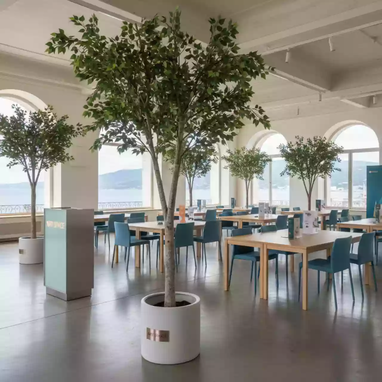 Аренда Дерево декоративное в ассортименте 1,4 1,5 м в зале «Чайка» (Морпорт) — ART SPACE