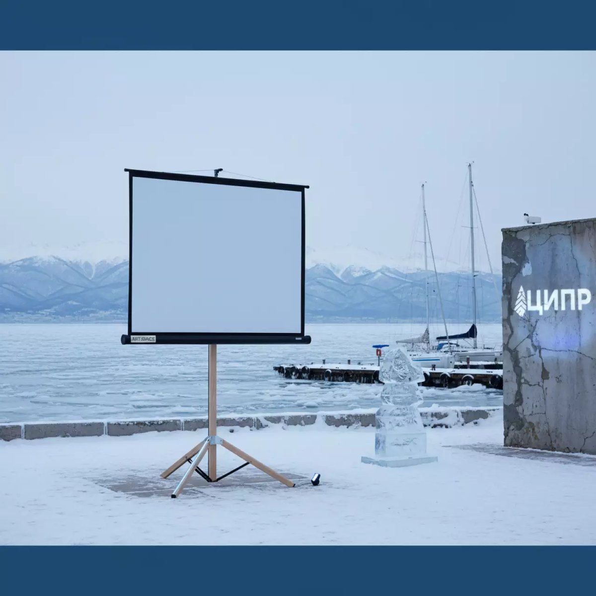 Аренда Экран Digis Optimal C формат 1 1 160х160 см MW DSOC 1101 Сочи — ART SPACE