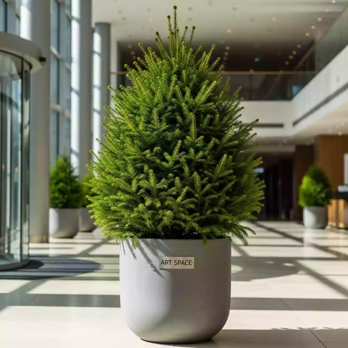 Аренда Ель Ефимия в Sport Inn Hotel & Wellness — ART SPACE