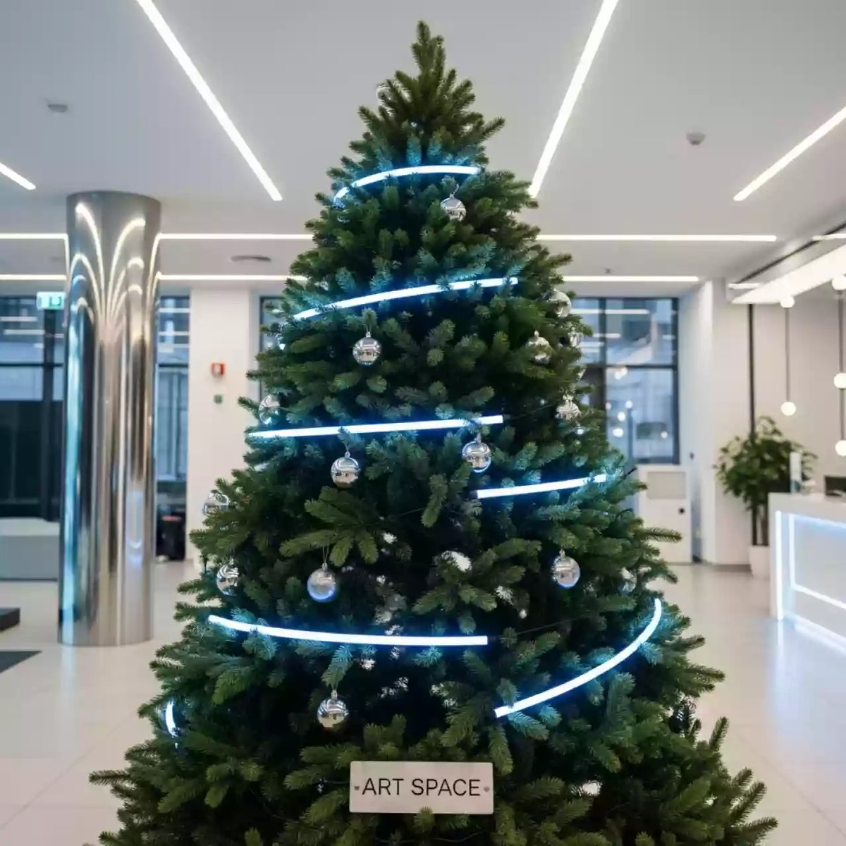 Аренда Ель русская 180–200 см в Stella di Mosca — ART SPACE