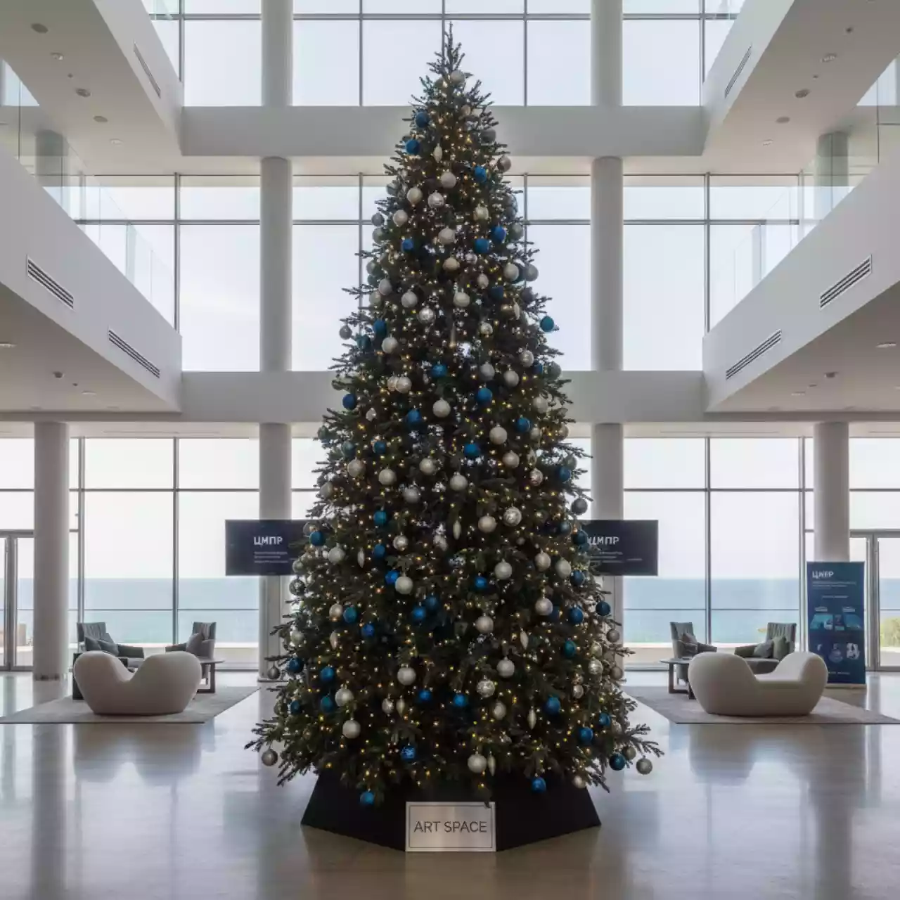 Аренда Елка республиканская в санатории «Черноморье» — ART SPACE