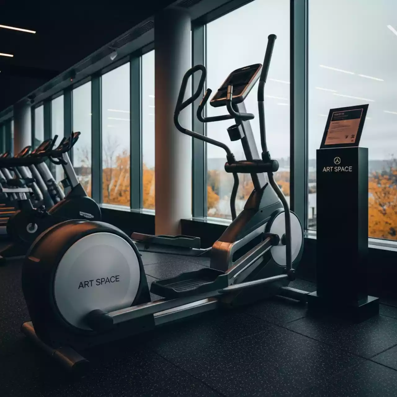 Аренда Эллипс DFC Challenge Promax в Omega Sirius — ART SPACE