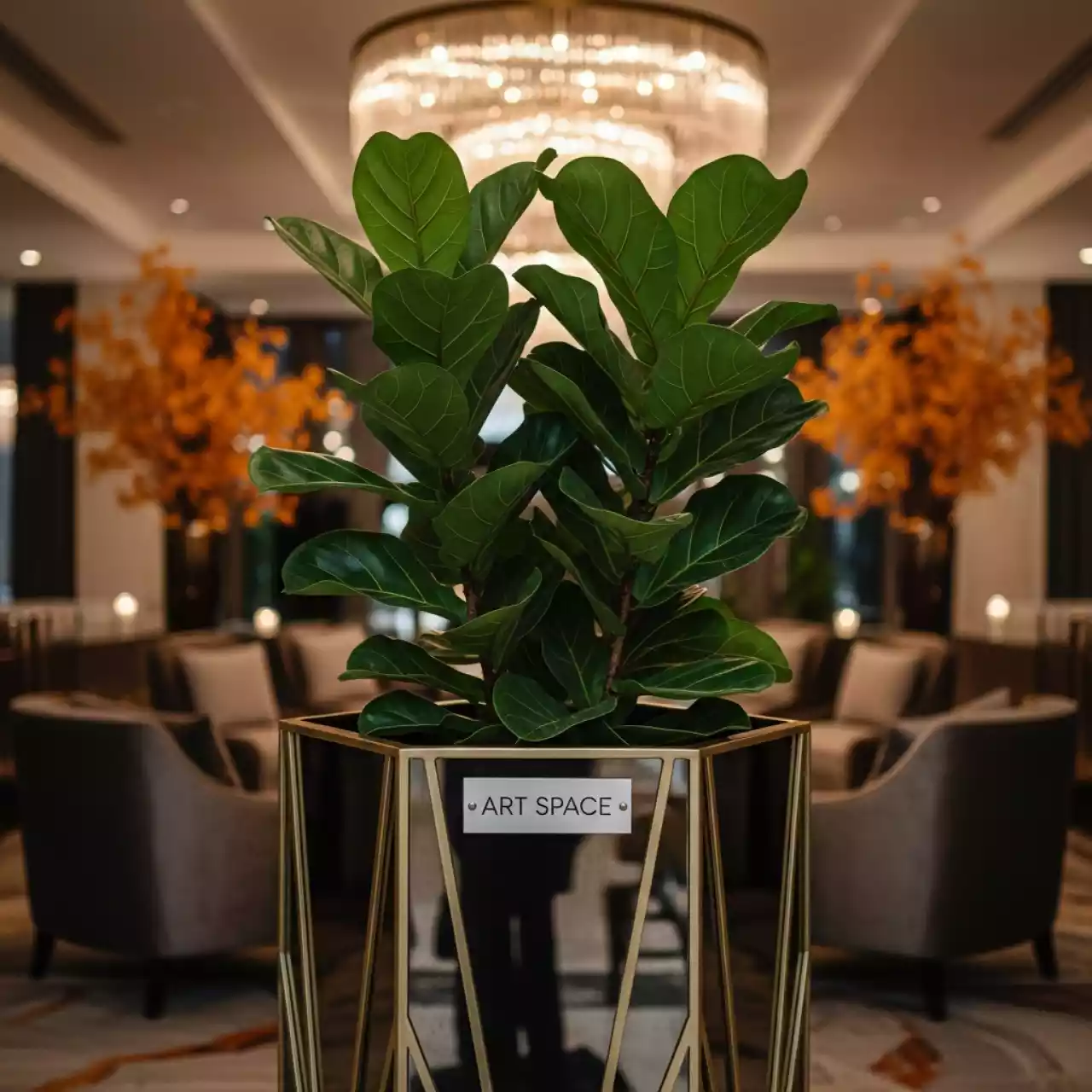 Аренда Фикус 170 см в Green Flow Hotel — ART SPACE