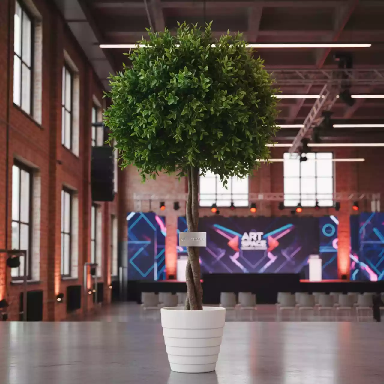 Аренда Фикус искусственный мелколистный 120 см в Red Arena — ART SPACE