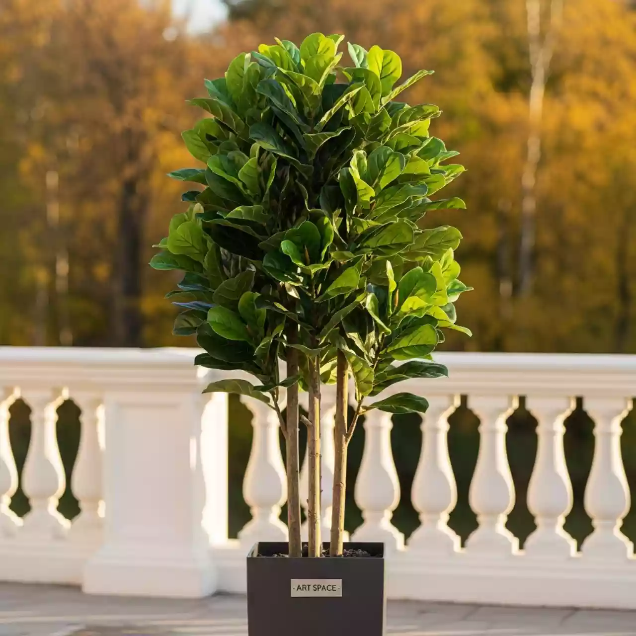 Аренда Фикус мелколистный искусственный 120 см в санатории «Металлург» — ART SPACE