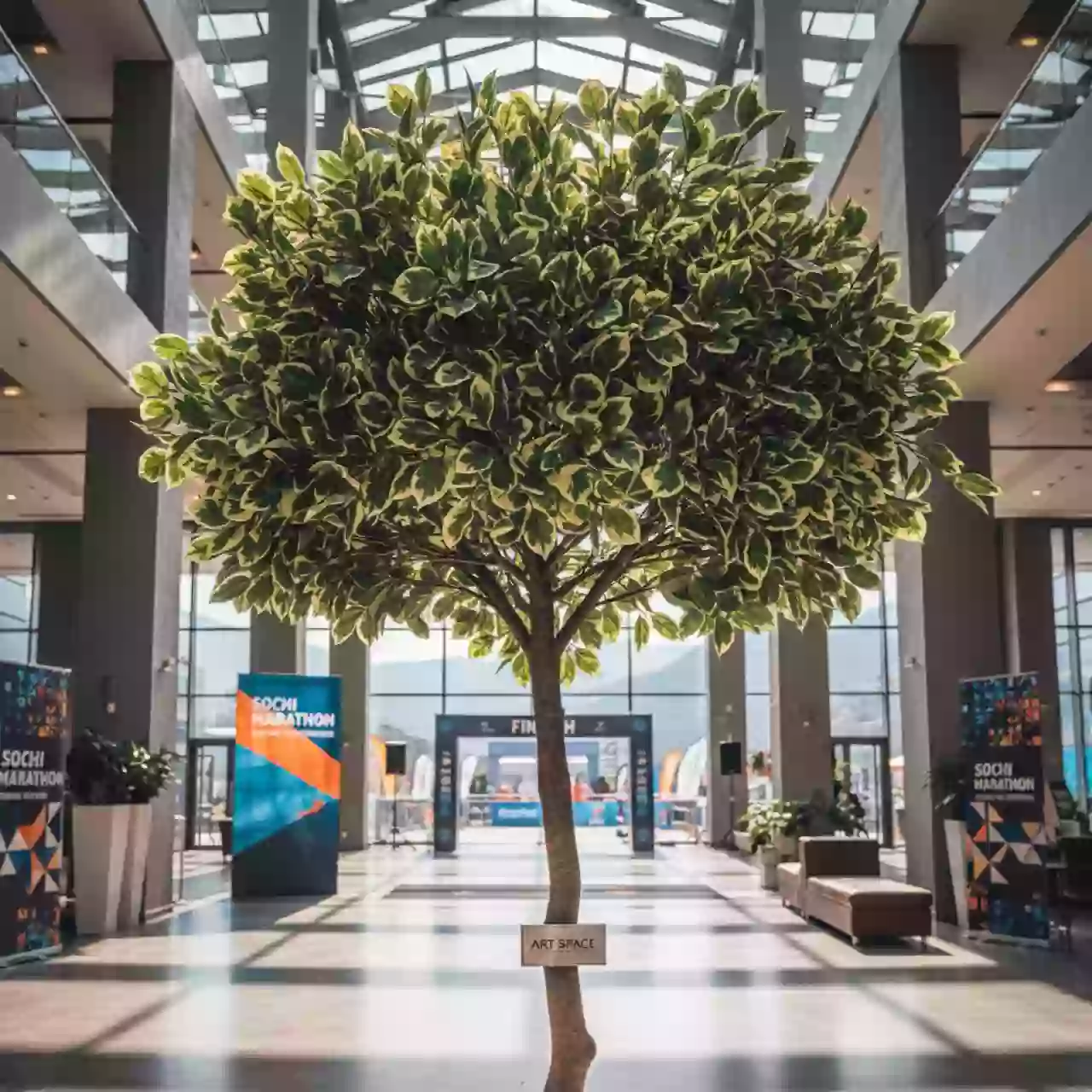 Аренда Фикус пестролистный искусственный в Sochi Marriott Krasnaya Polyana — ART SPACE