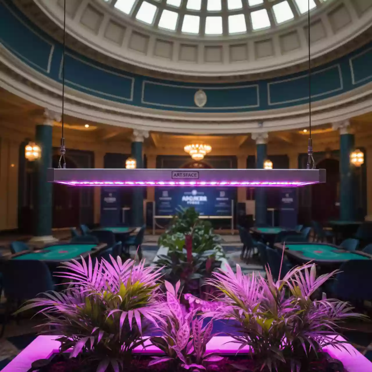 Аренда Фитолампа для растений Эра 9 Вт Т8 G13 LED красно синий спектр в санатории «Заполярье» — ART SPACE