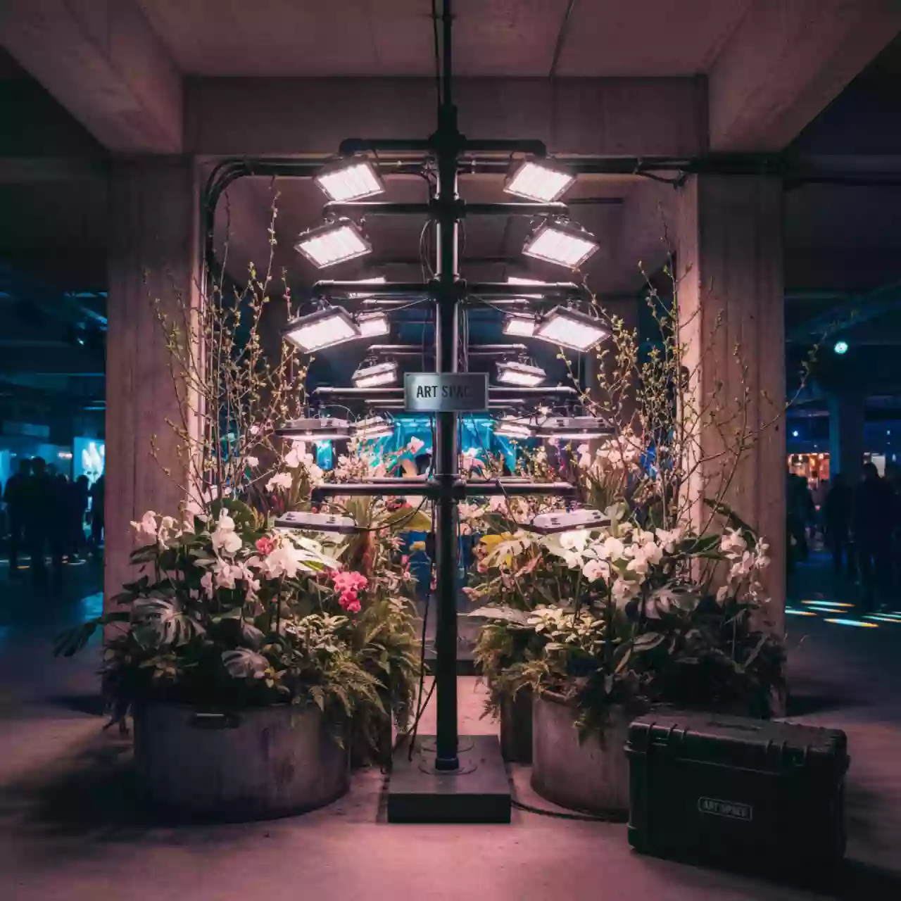 Аренда Фитолампы Эра в санатории «Октябрьский» — ART SPACE