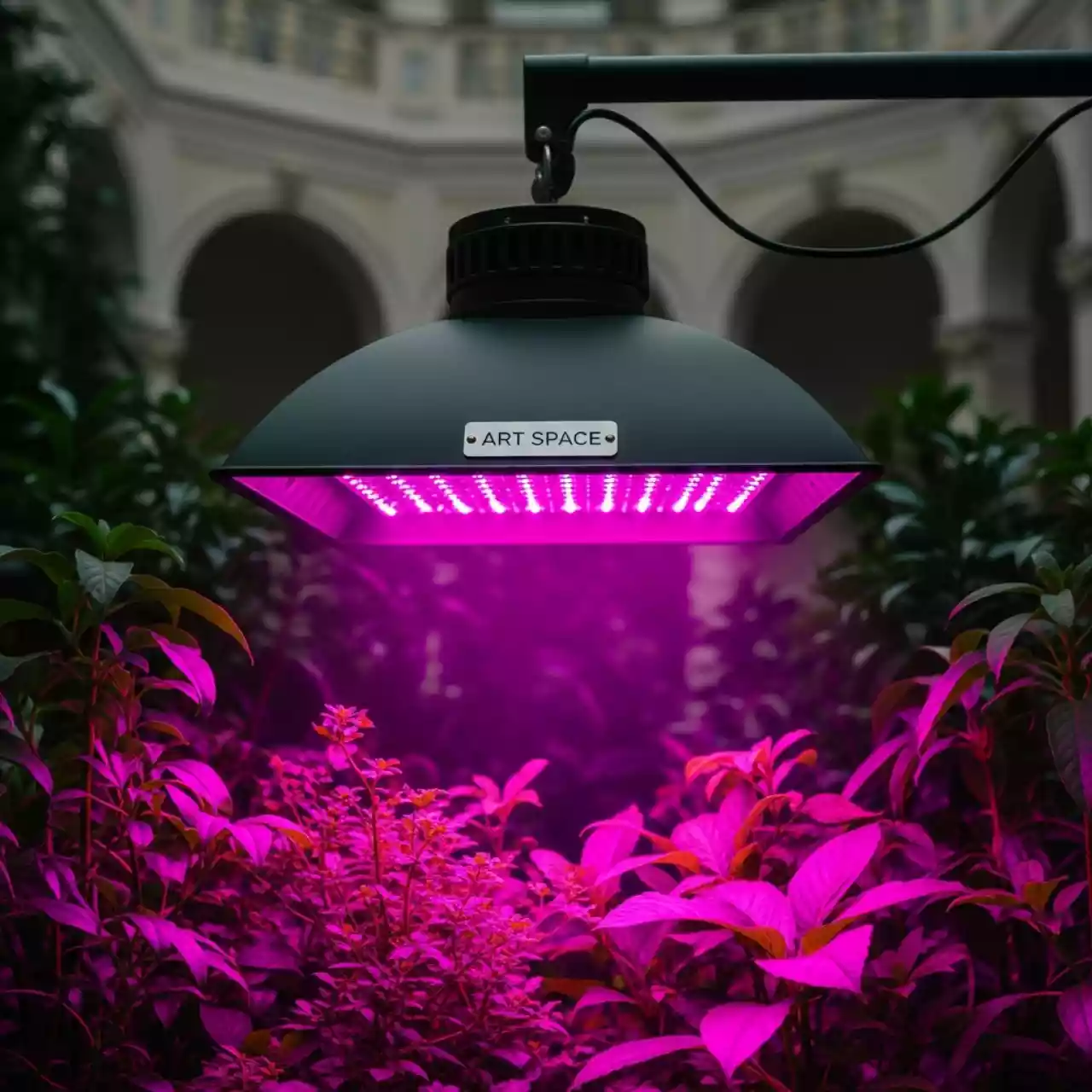 Аренда Фитопрожектор для растений Эра 80 Вт красно синий спектр в санатории «Металлург» — ART SPACE