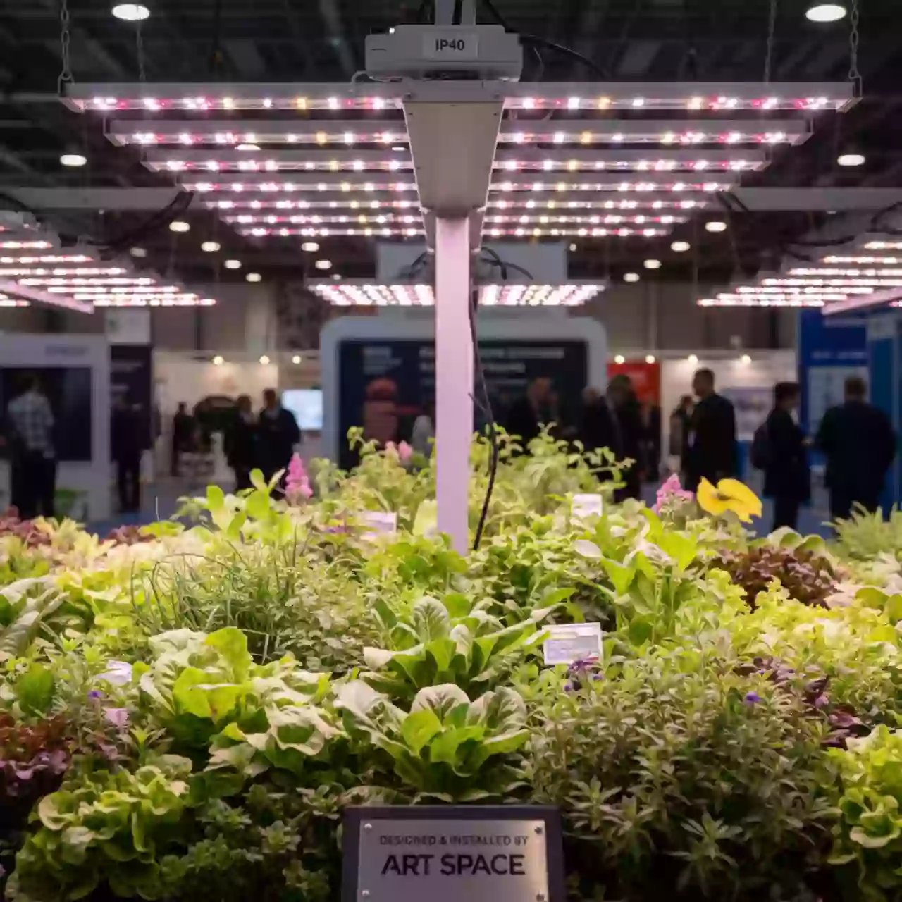 Аренда Фитосветильников IP 40 в зале «Чайка» (Морпорт) — ART SPACE