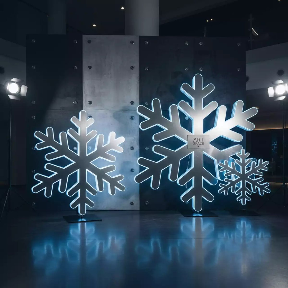Аренда Фотозона снежинки в Гранд Отель Поляна — ART SPACE