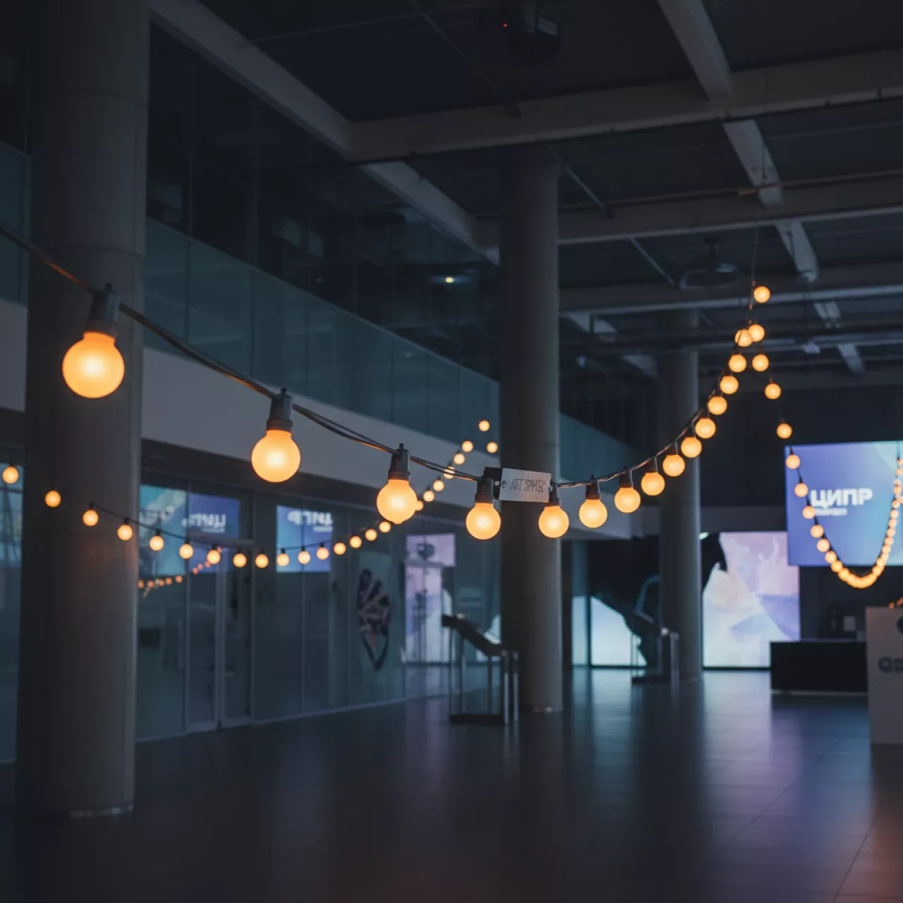 Аренда Гирлянда с лампочками 10 м 4138BK в Маринс Парк Отеле — ART SPACE