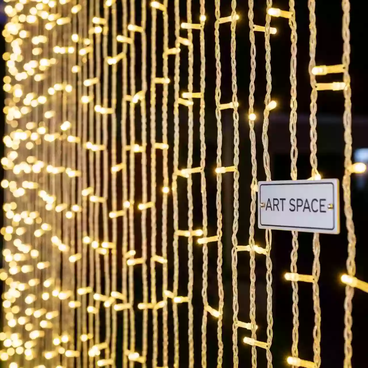 Аренда Гирлянда занавес электрическая Winter Glade 138 ламп теплый белый в санатории «Сочи» — ART SPACE