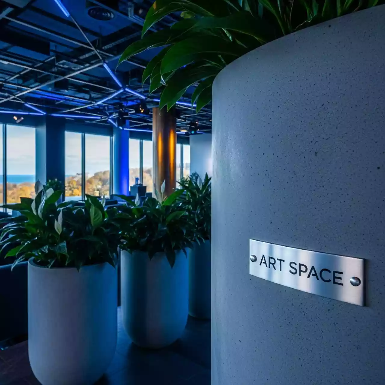 Аренда Горшки для цветов аксессуары для растений в Pullman Sochi Centre — ART SPACE