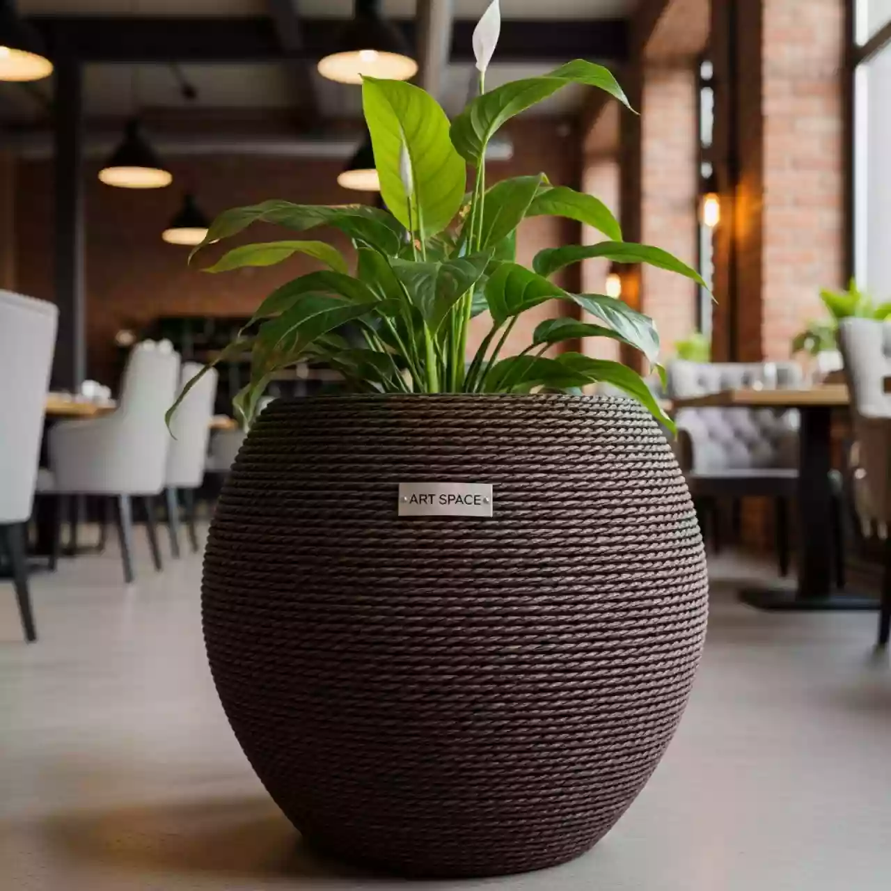 Аренда Кашпо для цветов Prosperplast Rato Round 37.65 35 л венге в ресторане «Сыроварня» — ART SPACE