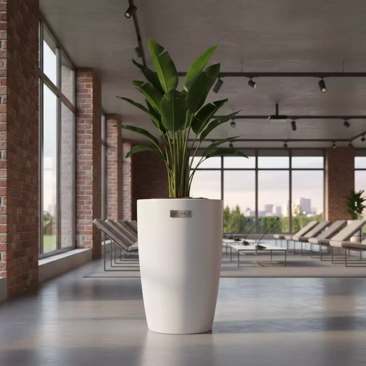 Аренда Кашпо для цветов Prosperplast Tubus белое в Novotel Resort — ART SPACE