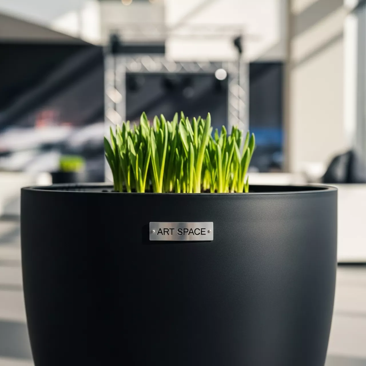 Аренда Кашпо WR4 Prosperplast пластиковое круглое чёрное в отеле «Звездный» — ART SPACE