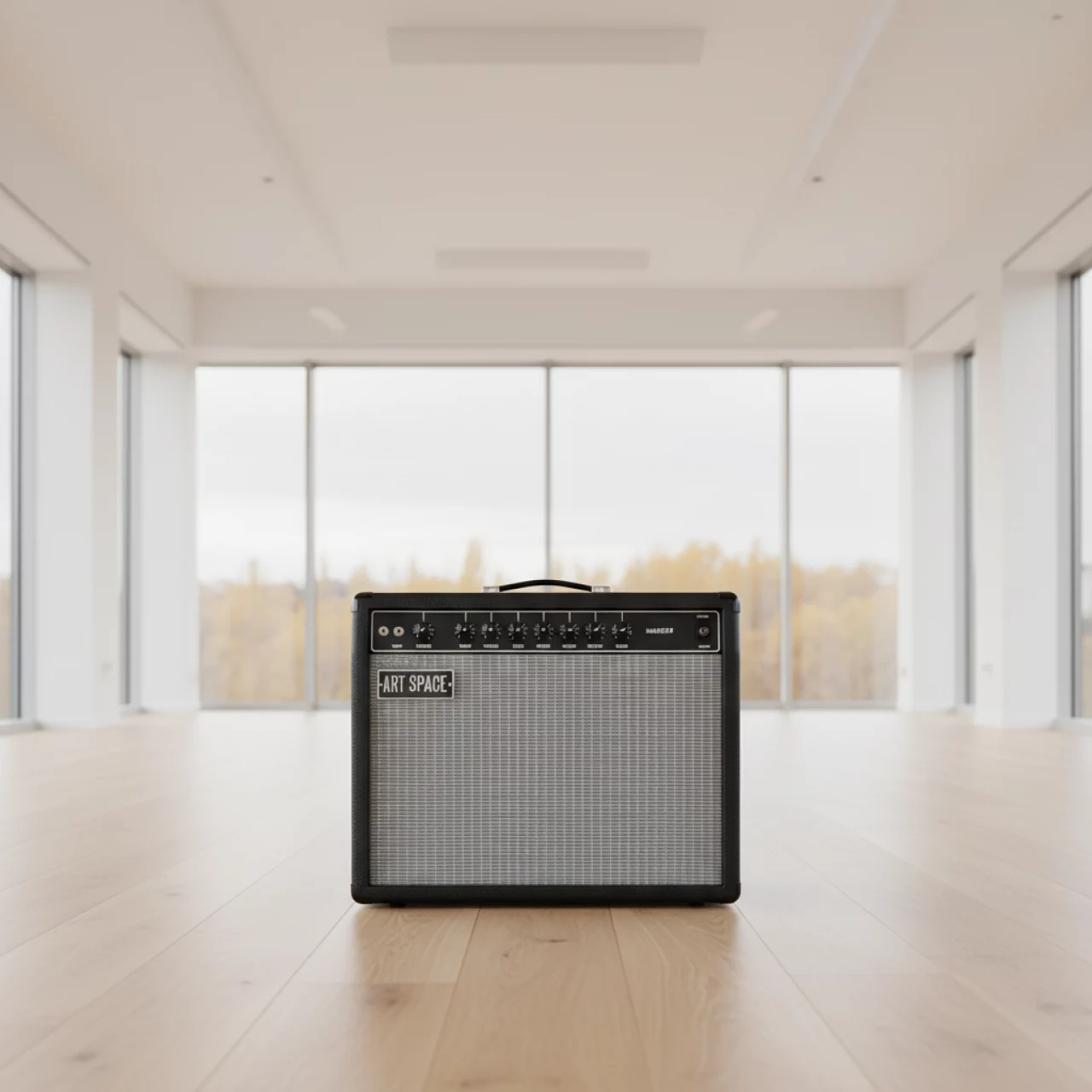 Аренда Комбик Fender Twin Amp в Pullman Sochi Centre — ART SPACE