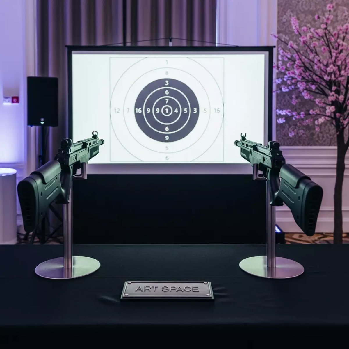 Аренда Комплект лазерного тираинтир Кадет Спорт винтовки по экрану 2 стрелка в Green Flow Hotel — ART SPACE