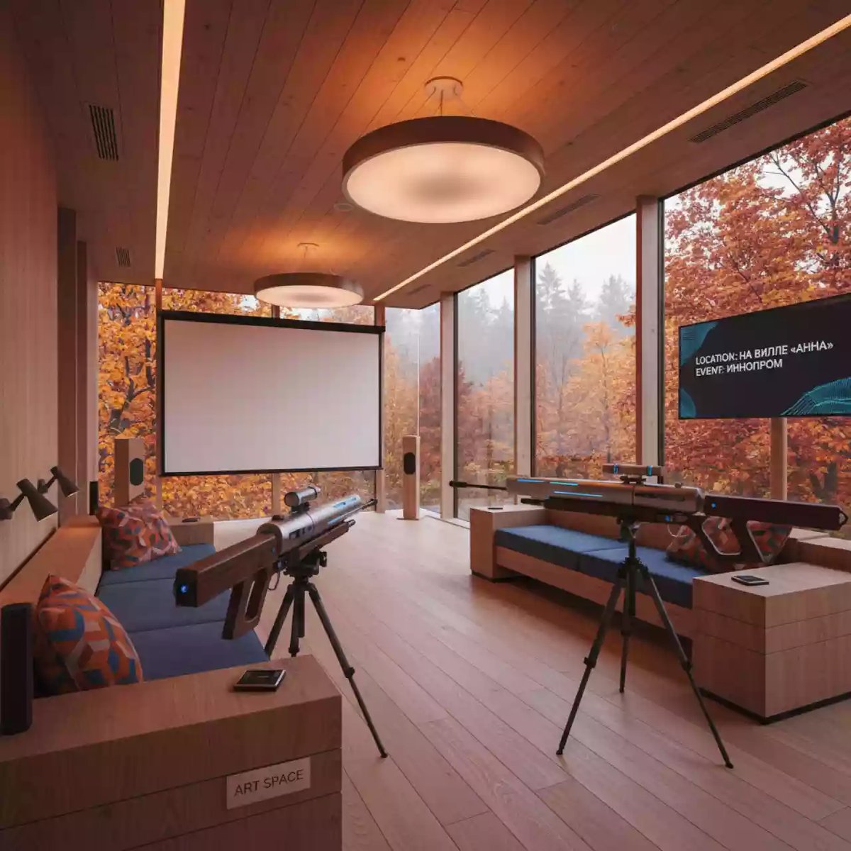 Аренда Комплект лазерного тираИНТИР Кадет Спорт винтовки по экрану два стрелка на вилле «Анна» — ART SPACE