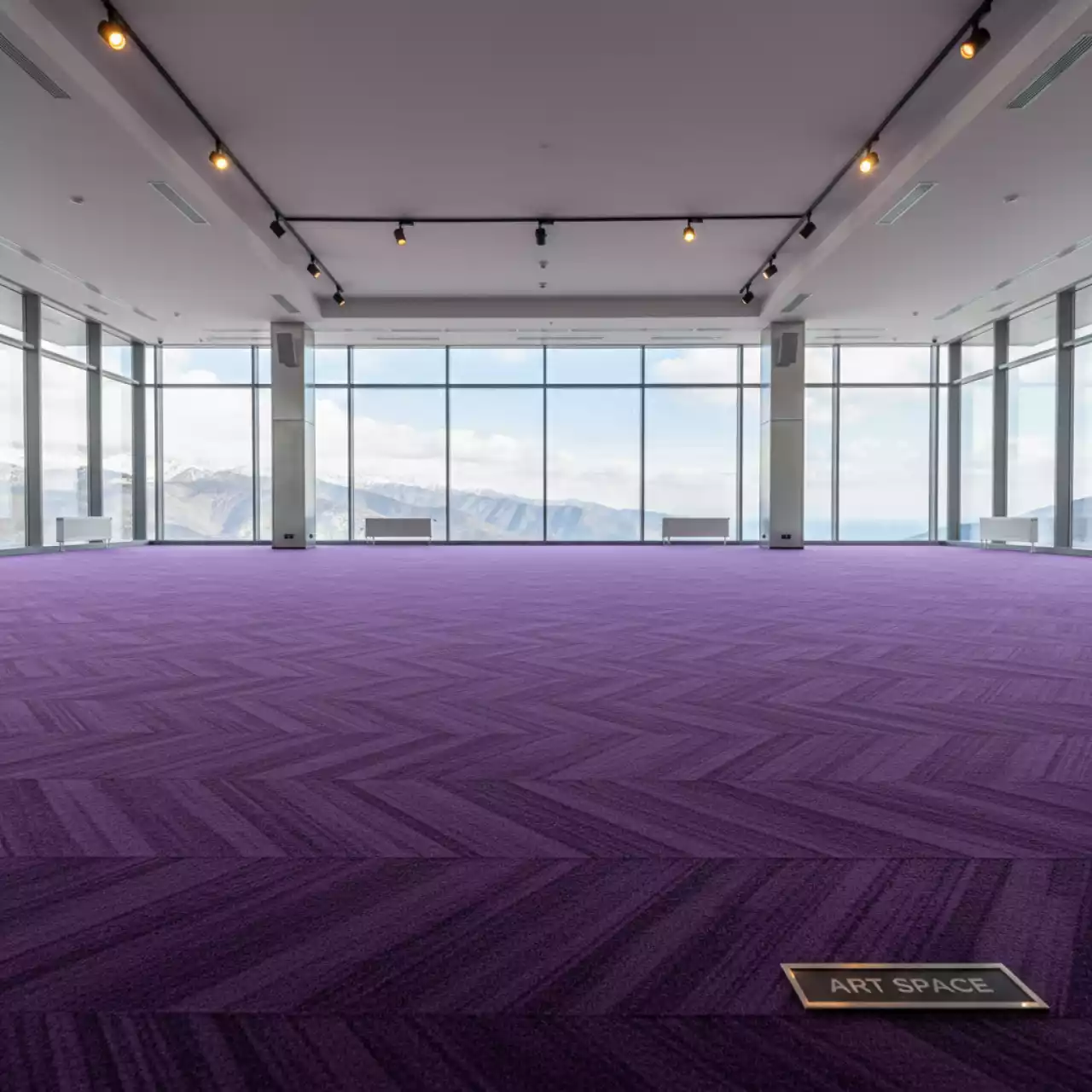 Аренда Ковролин фиолетовый 0009 в Skypark Sochi — ART SPACE