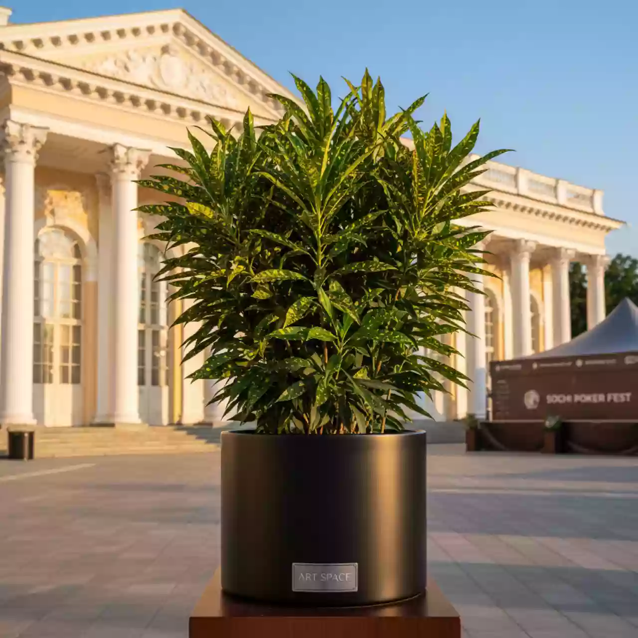 Аренда Кротона Голдфингер в усадьбе Голицына — ART SPACE